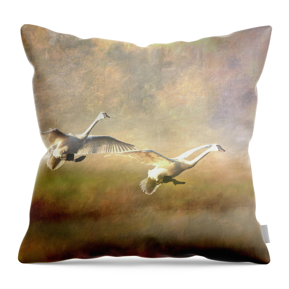 Swans Throw Pillow featuring the photograph Trumpeter Swan Landing - painterly by Patti Deters
