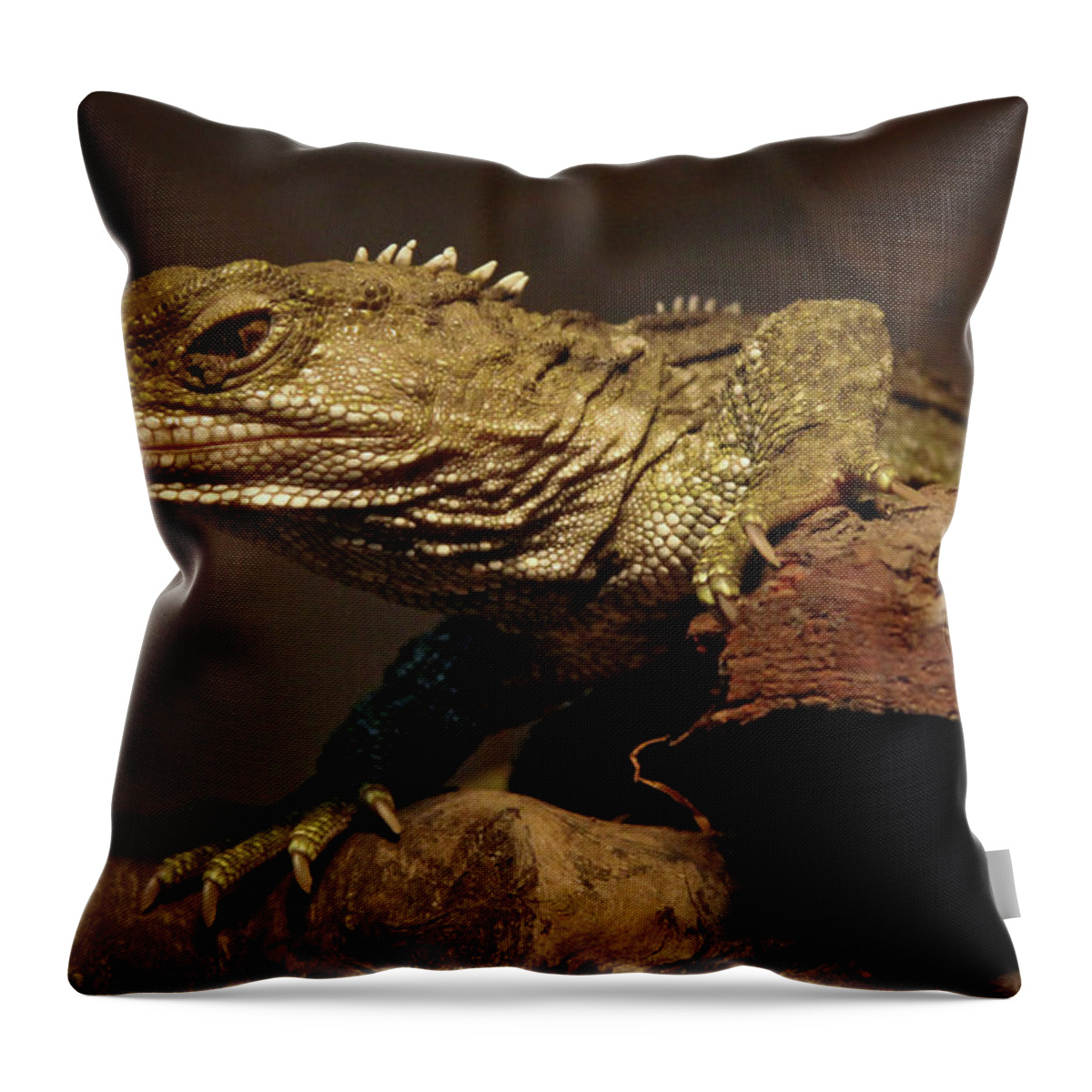 Animal Themes Throw Pillow featuring the photograph Tuatara by Alastair Stewart