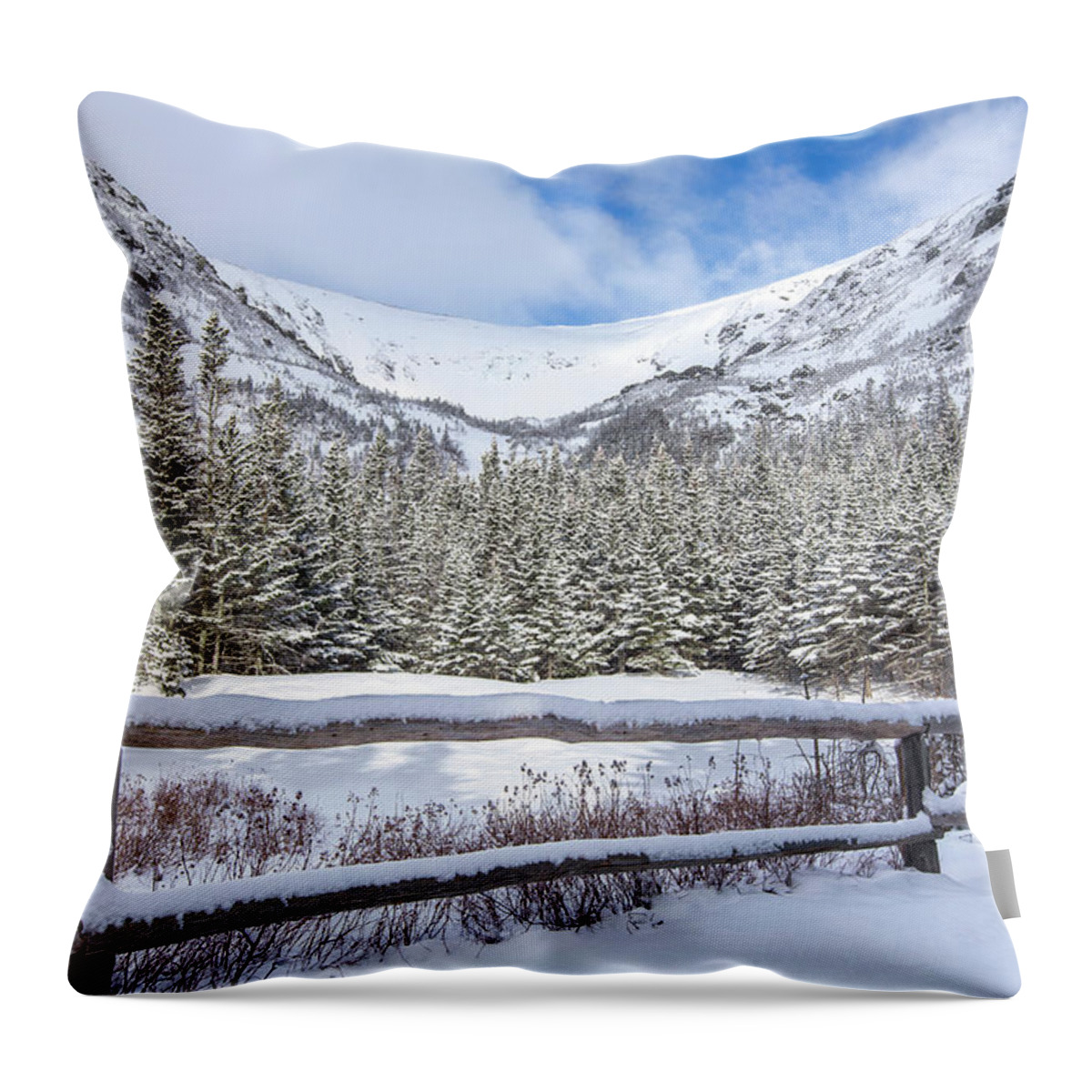 Tuckerman Throw Pillow featuring the photograph Tuckerman Ravine Winter Fence by White Mountain Images