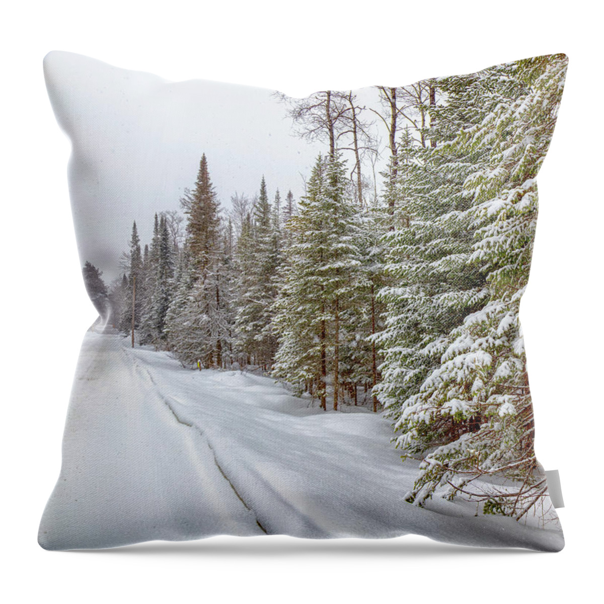 Pines Throw Pillow featuring the photograph Tug Hill Pines by Rod Best