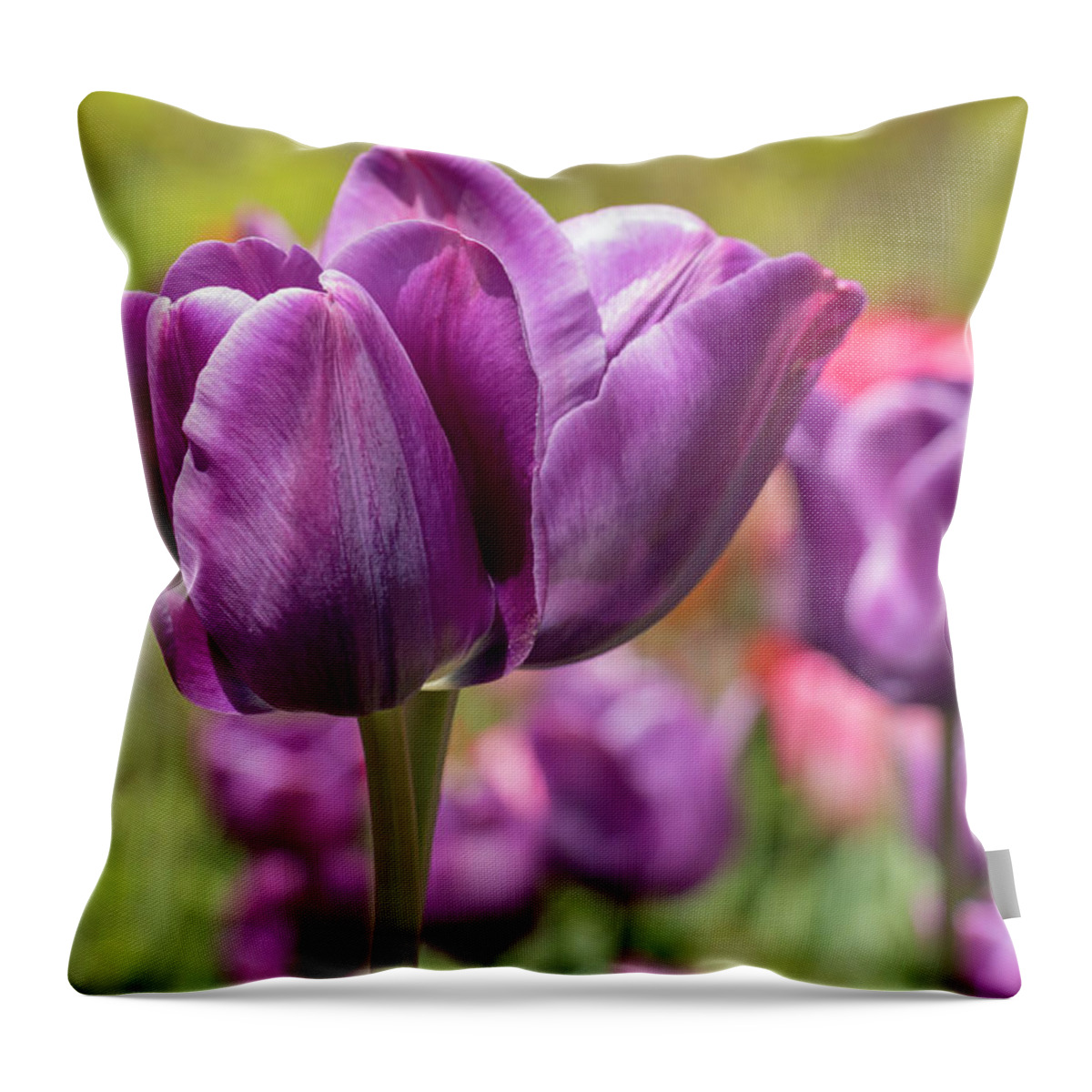 Flower Throw Pillow featuring the photograph Tulip Passionale by Dawn Cavalieri
