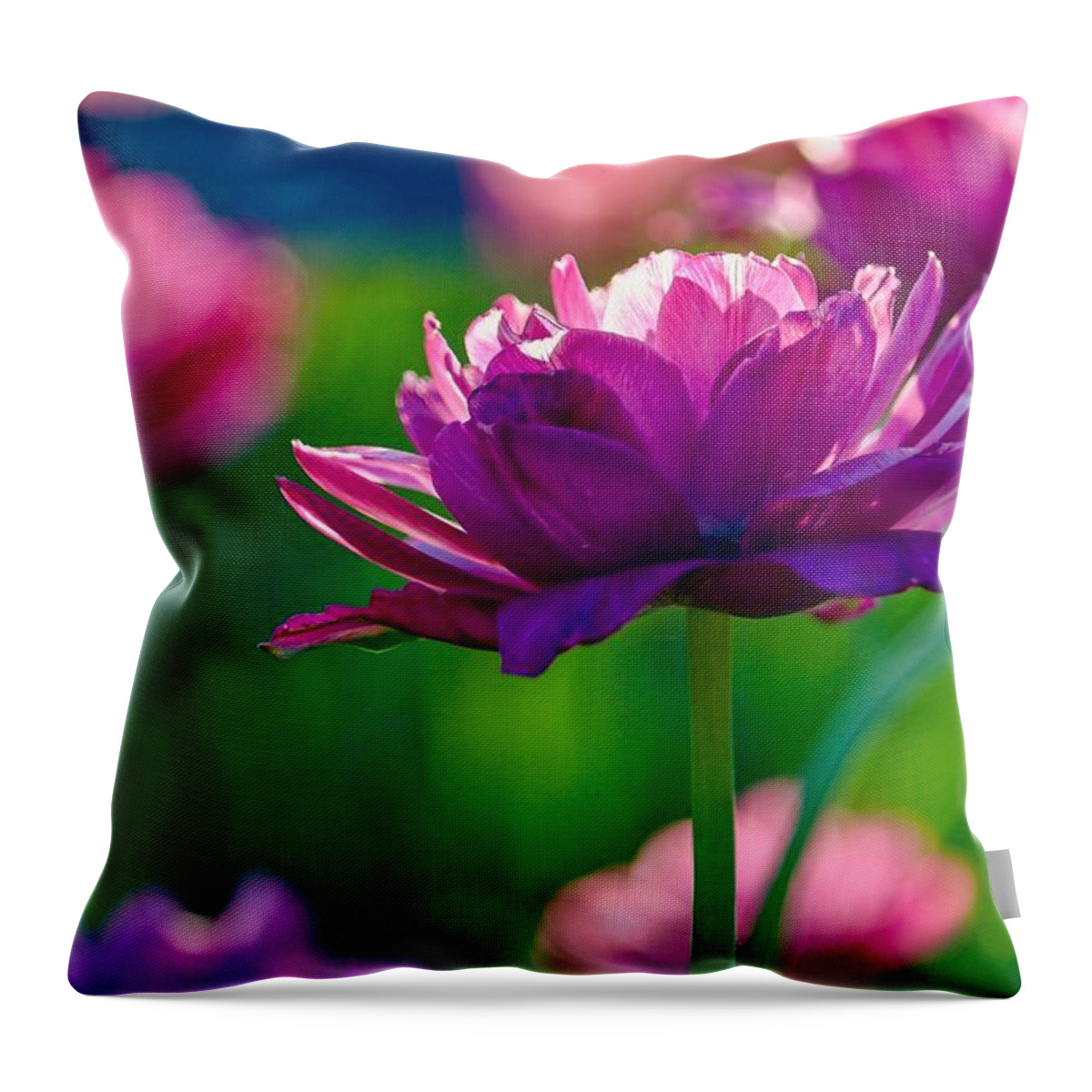 Flower Throw Pillow featuring the photograph Tulips in Bloom by Susan Rydberg