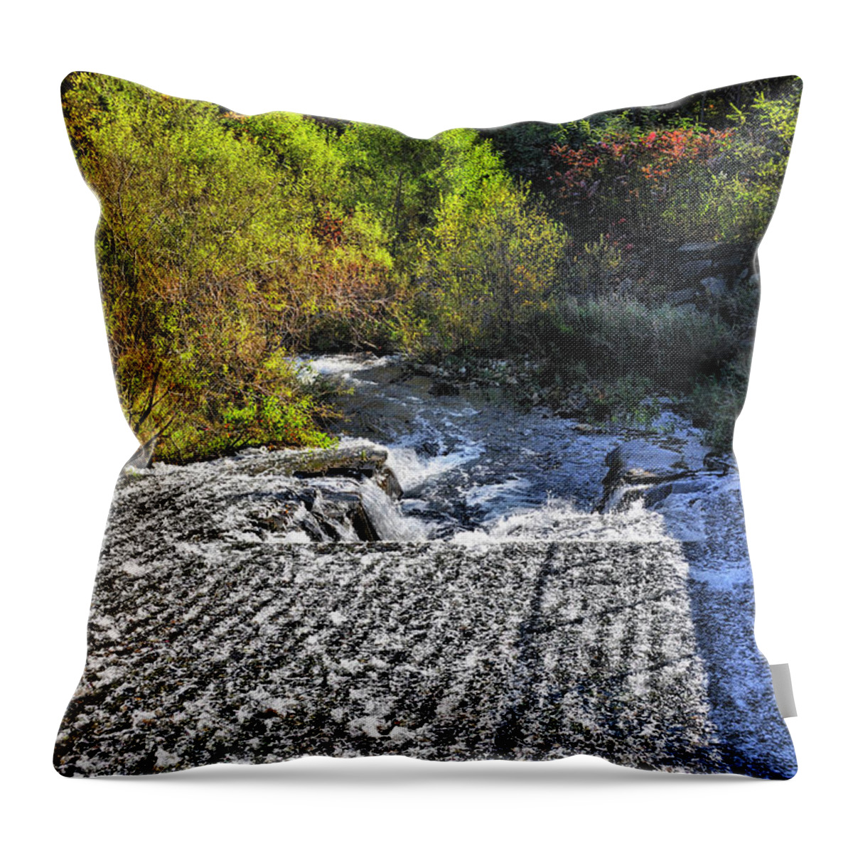 Autumn Throw Pillow featuring the photograph Turning Leaves Flowing Water by Luke Moore