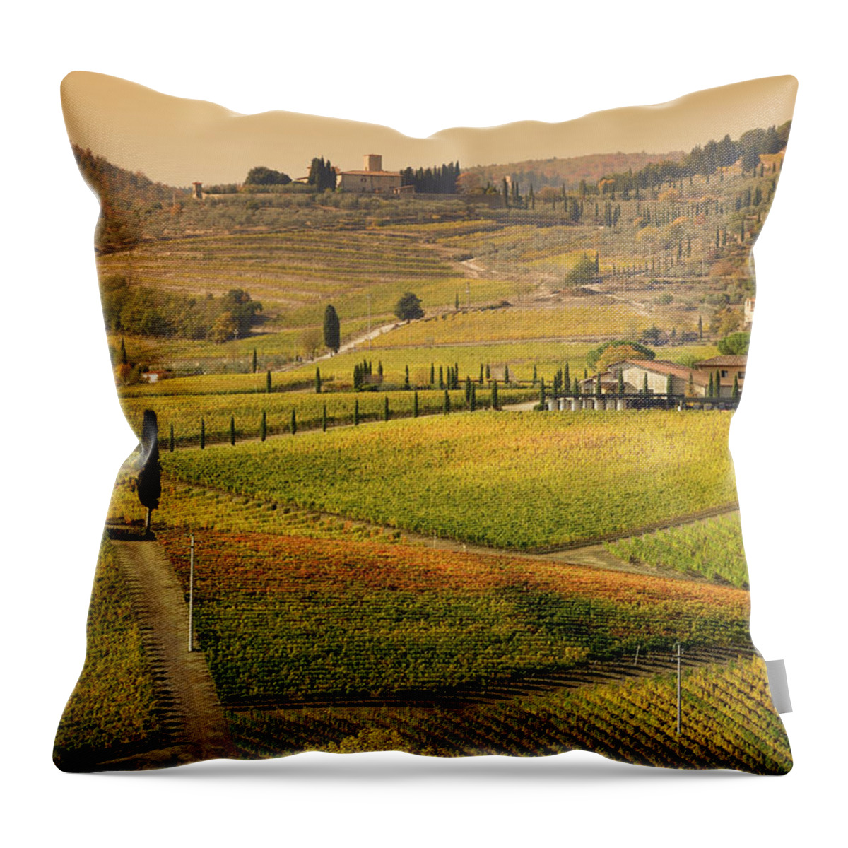 Scenics Throw Pillow featuring the photograph Tuscany Farmhouse And Vineyard In Fall by Lisa-blue