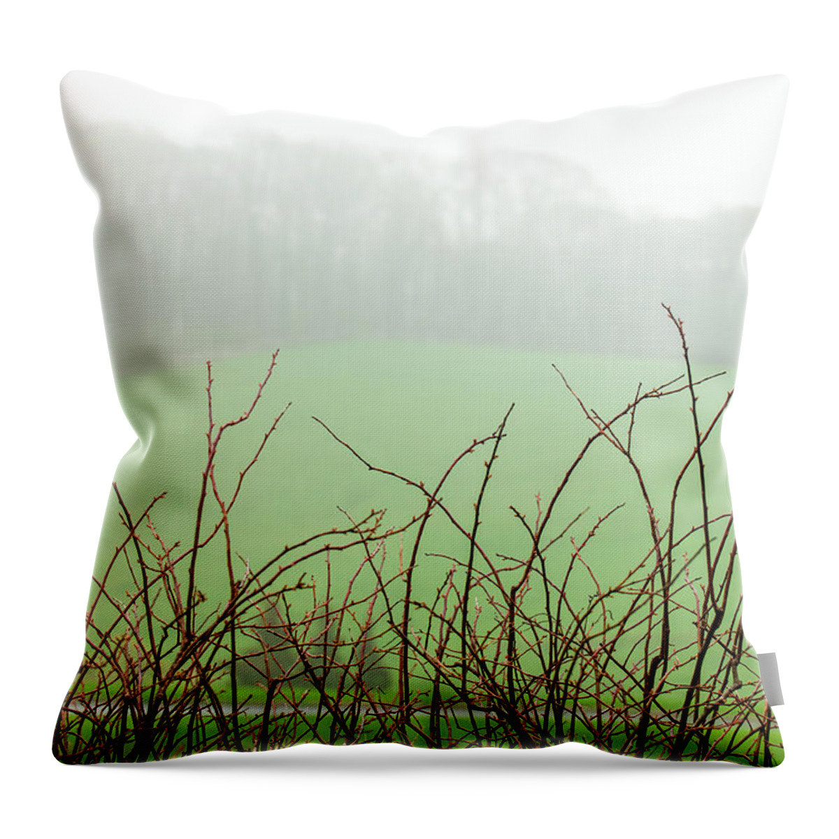 Minimalist Throw Pillow featuring the photograph Twigs in Mist by Ginger Stein