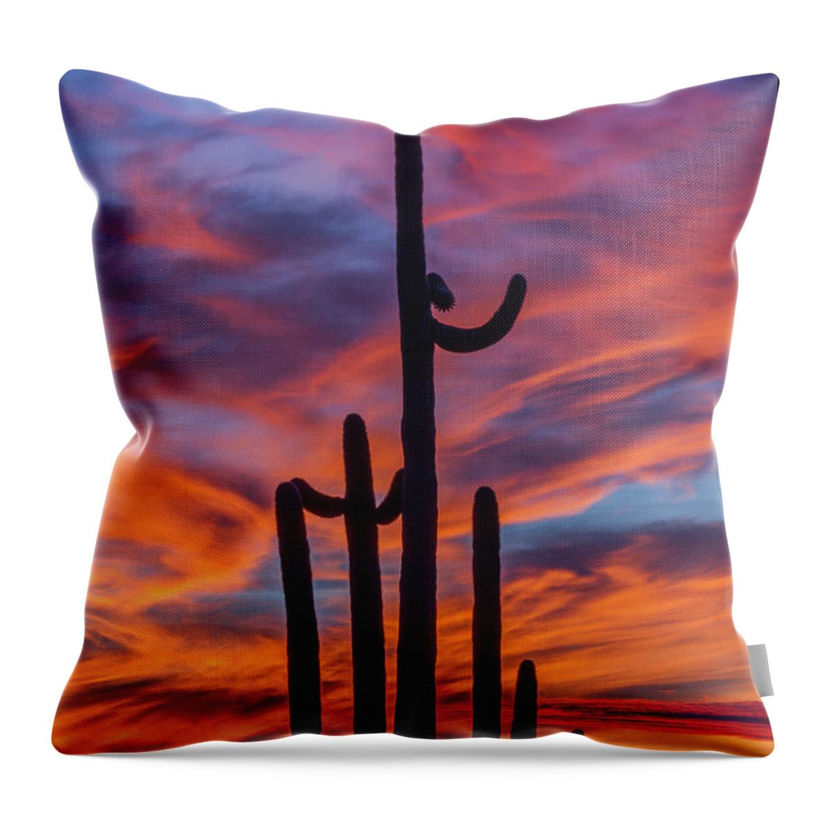 Twilight Throw Pillow featuring the photograph Twilight Fire by Gary Migues