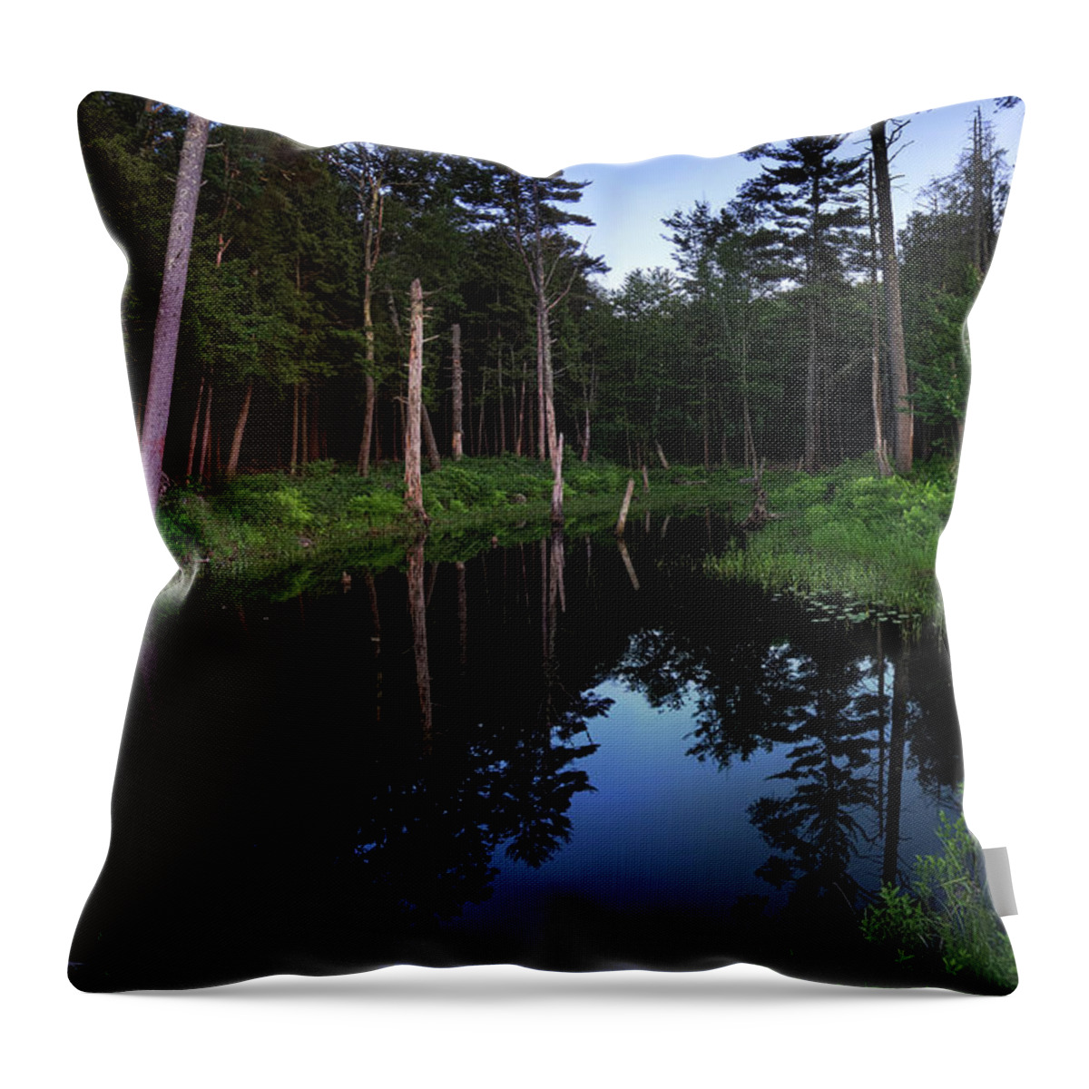 Twilight Throw Pillow featuring the photograph Twilight Pool by Jerry LoFaro