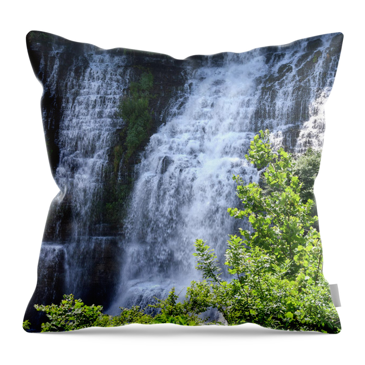 Waterfalls Throw Pillow featuring the photograph Twin Falls 5 by Phil Perkins