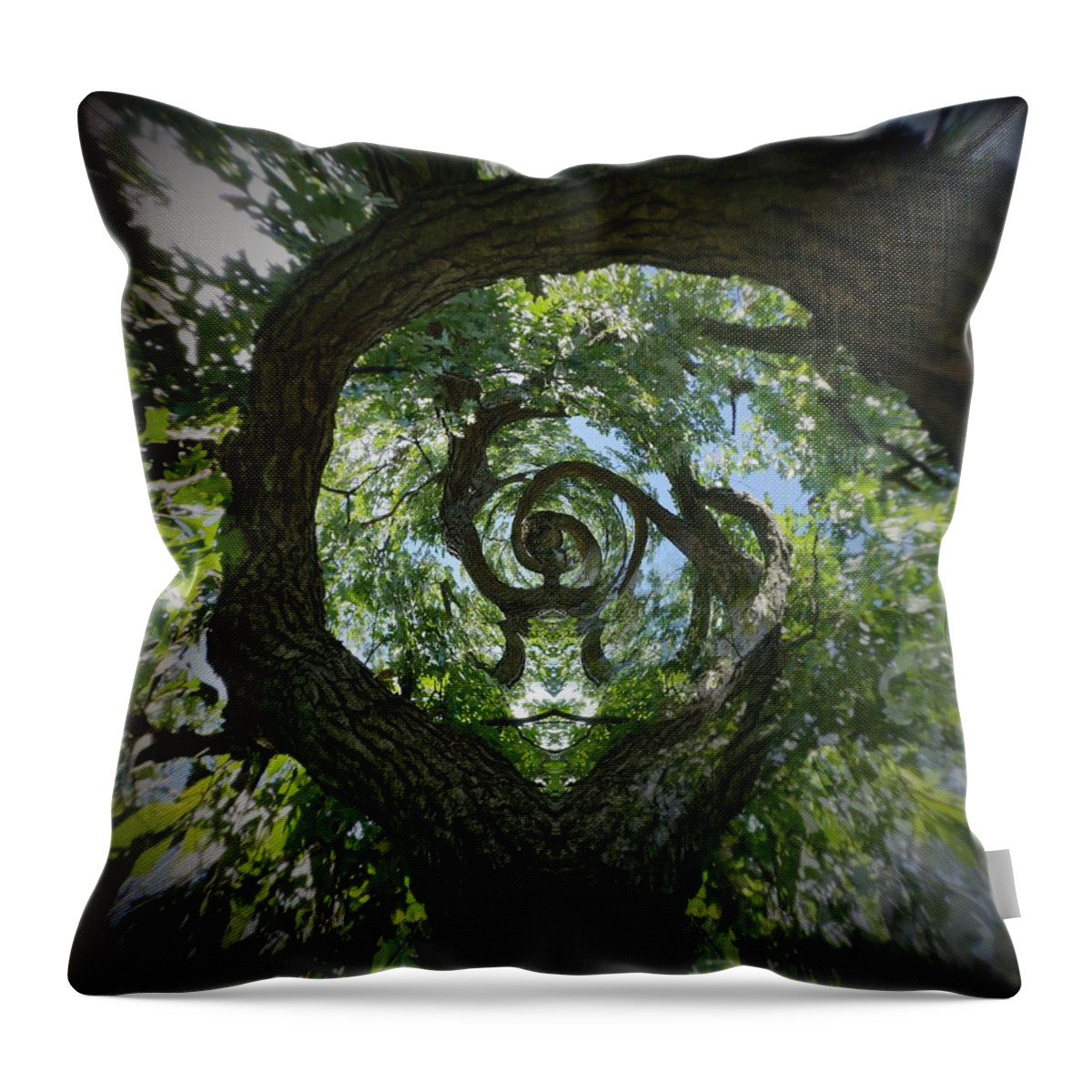 Abstract Throw Pillow featuring the photograph Twisted tree by Silvia Marcoschamer