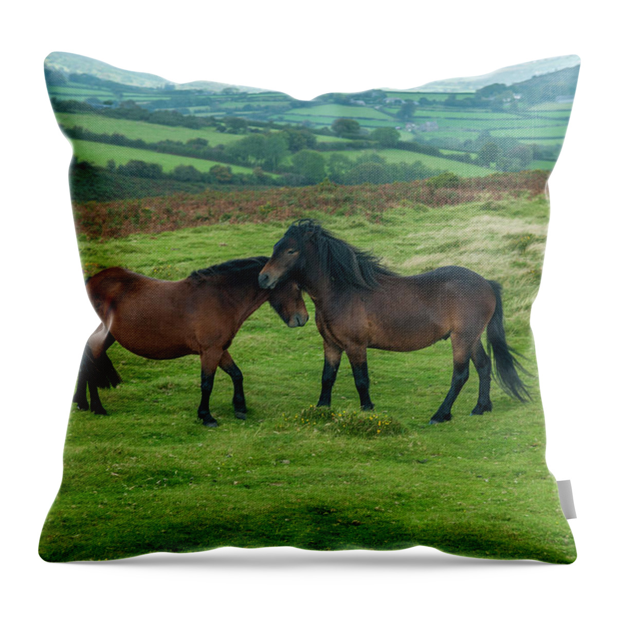 Horse Throw Pillow featuring the photograph Two Affectionate Wild Ponies by Abdul Kadir Audah