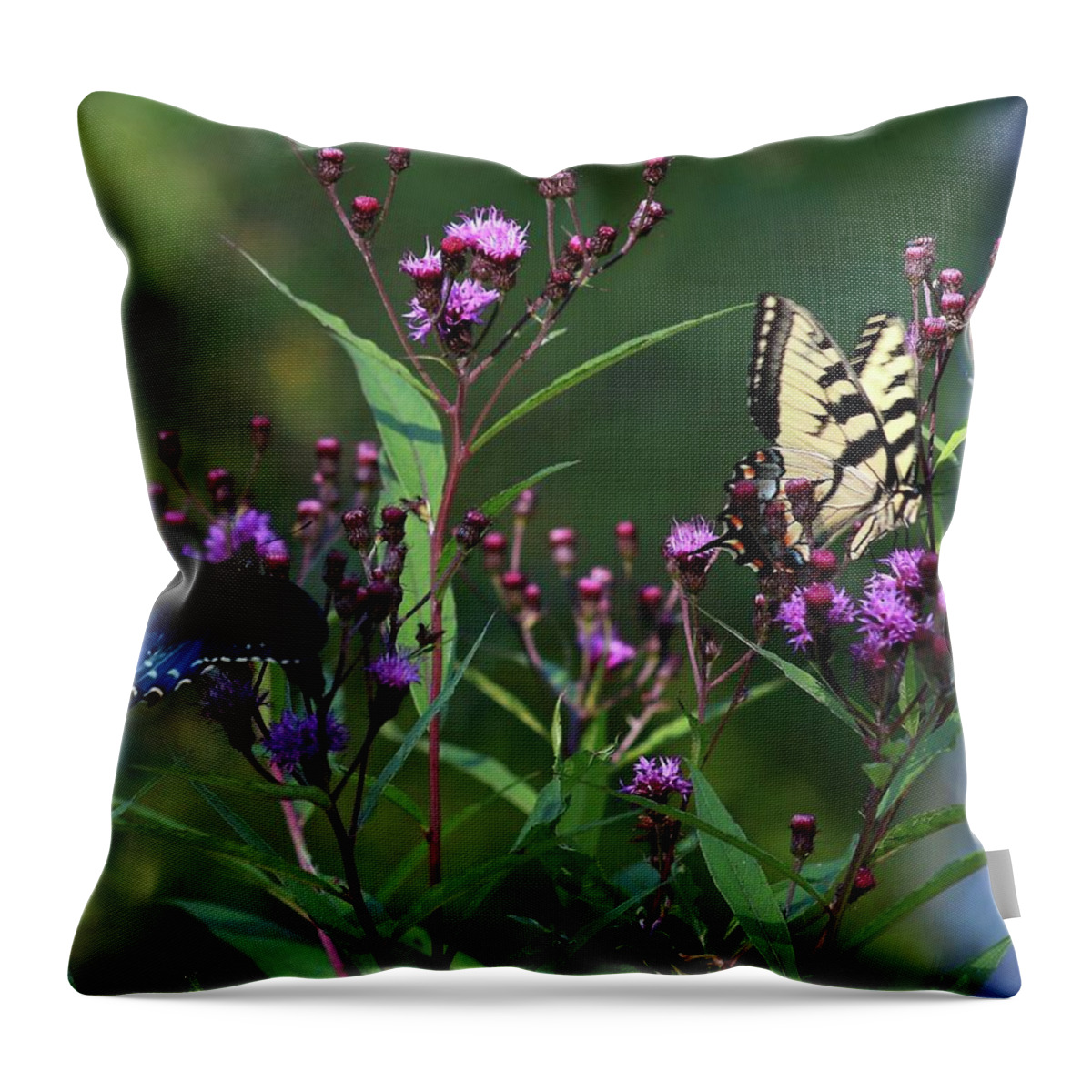 Butterfly Throw Pillow featuring the photograph Two Butterflies by Carol Montoya