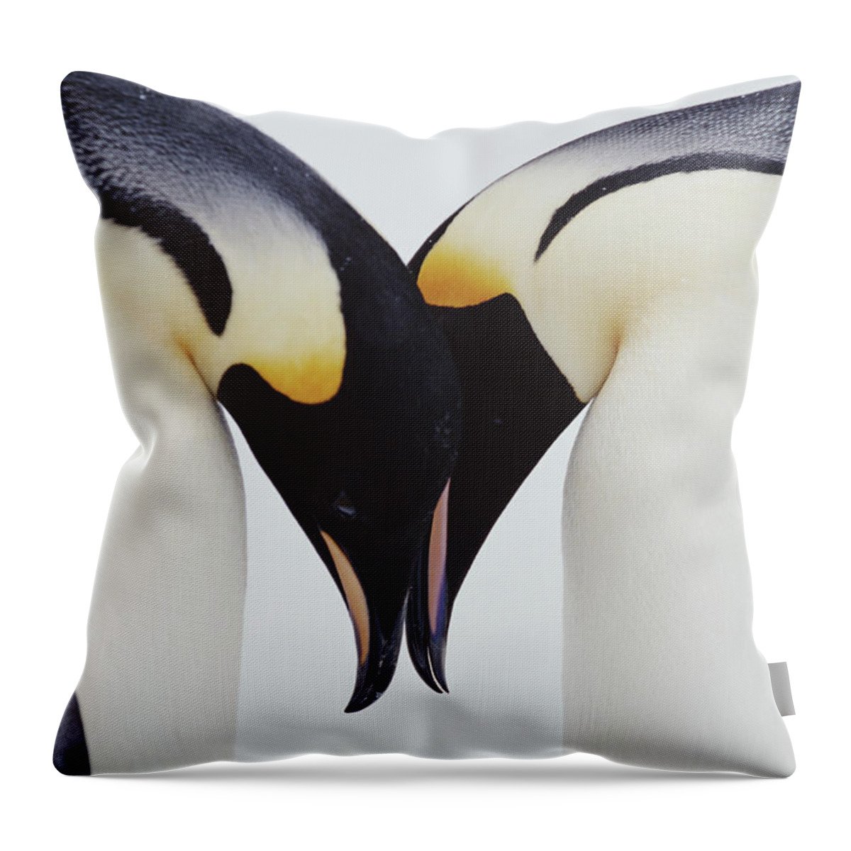Emperor Penguin Throw Pillow featuring the photograph Two Emperor Penguins Aptenodytes by Joseph Van Os