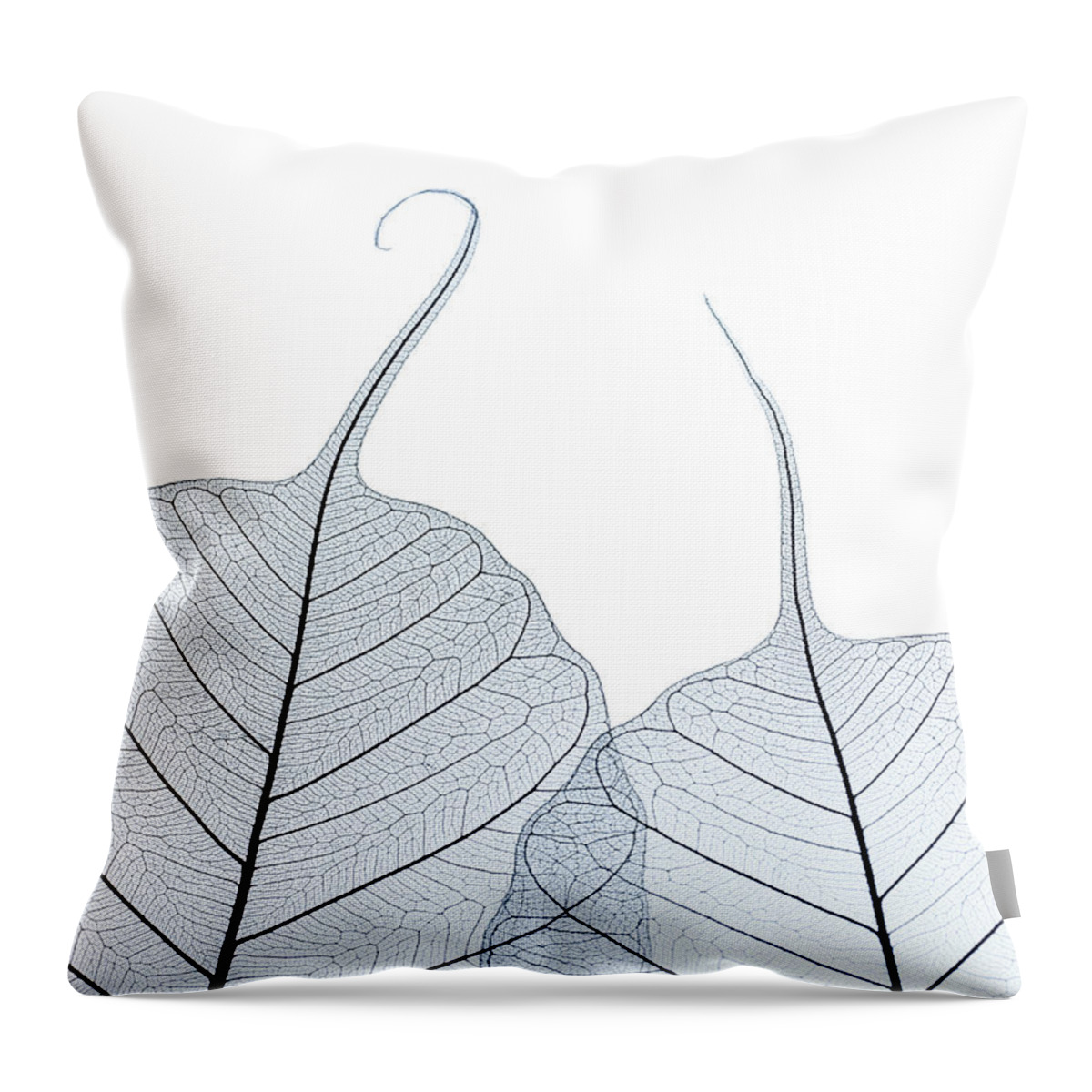 Tranquility Throw Pillow featuring the photograph Two Leaf Skeletons by Peter Dazeley