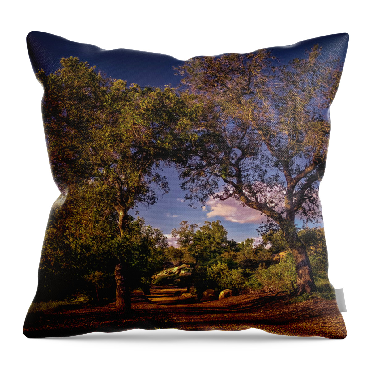 Oak Trees Throw Pillow featuring the photograph Two Old Oak Trees At Sunset by Endre Balogh