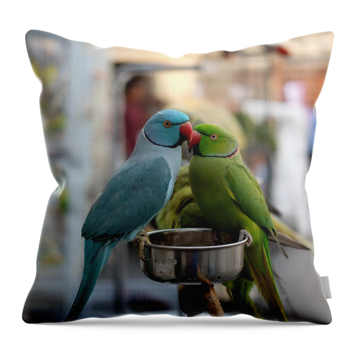 Parrot Throw Pillow featuring the photograph Two Parrots Perching On Bowl by Ryan Joseph Elico / 500px