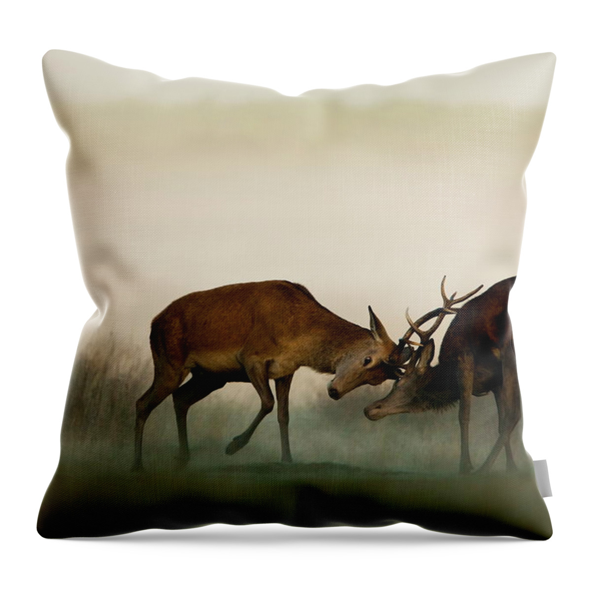 Rutting Throw Pillow featuring the photograph Two Red Deer Fighting In The Fog by Damiankuzdak