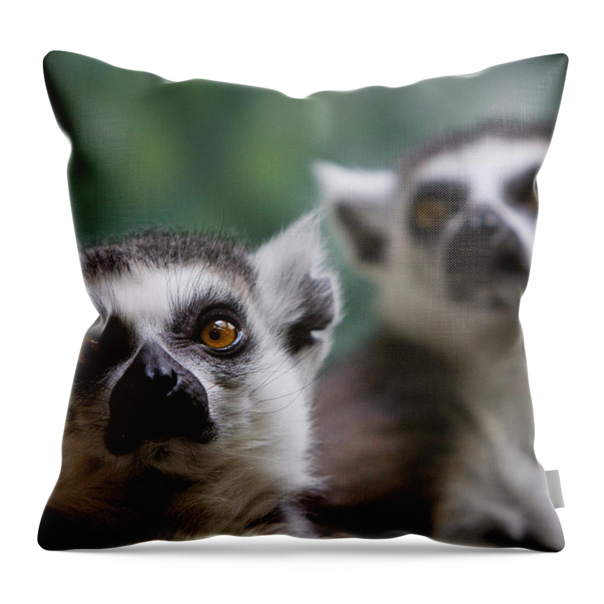 Animal Themes Throw Pillow featuring the photograph Two Ring-tailed Lemurs by Holly Hildreth