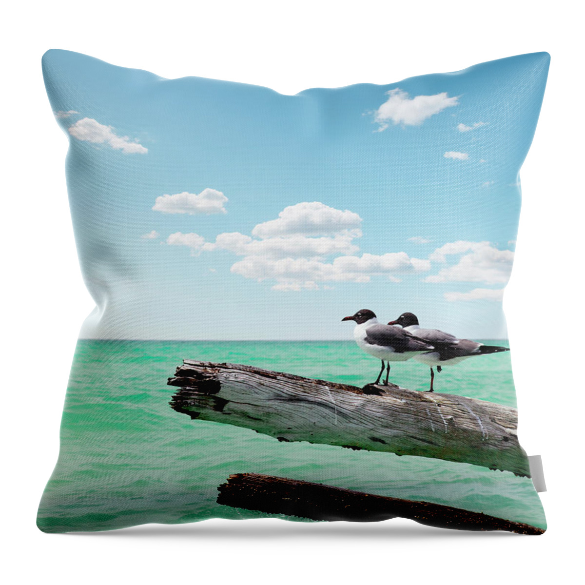 Seascape Throw Pillow featuring the photograph Two Seagulls Sitting On Dead Trees by Chaos
