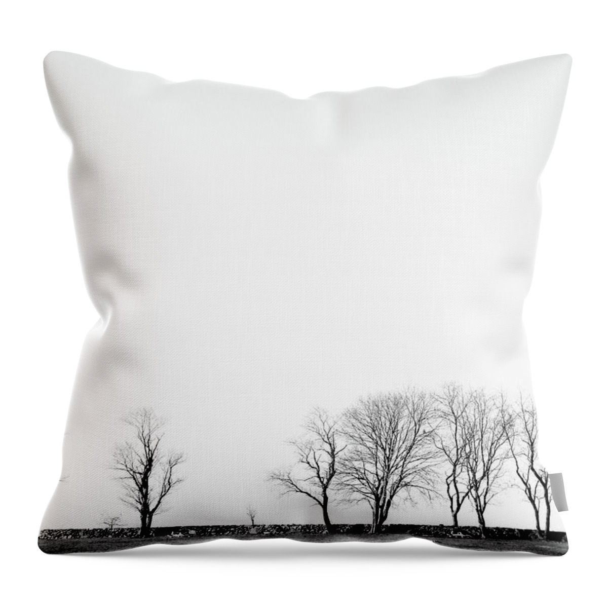 Trees Throw Pillow featuring the photograph Under a Winter Sky by Nancy De Flon