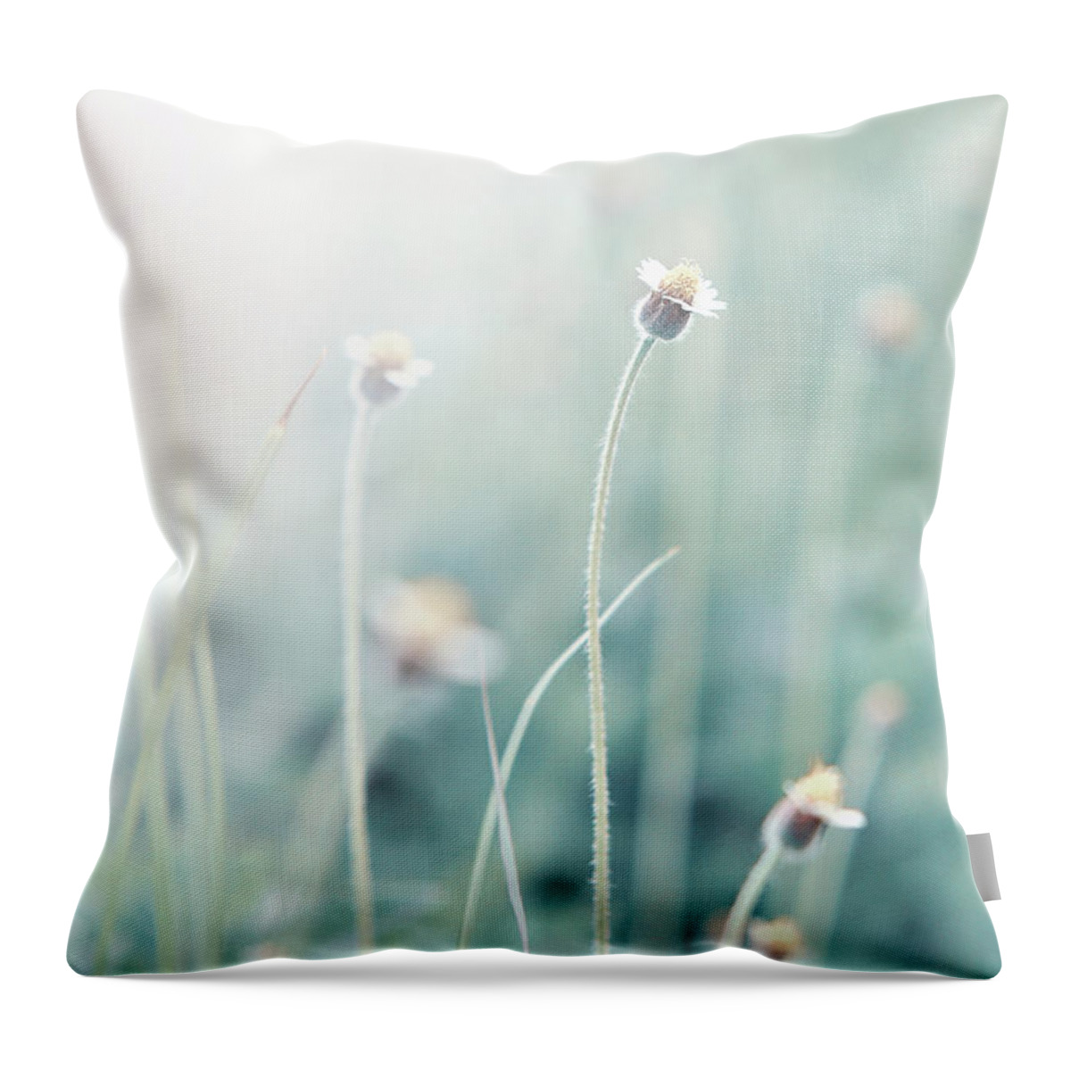 Outdoors Throw Pillow featuring the photograph Under Sun by Smerindo schultzpax