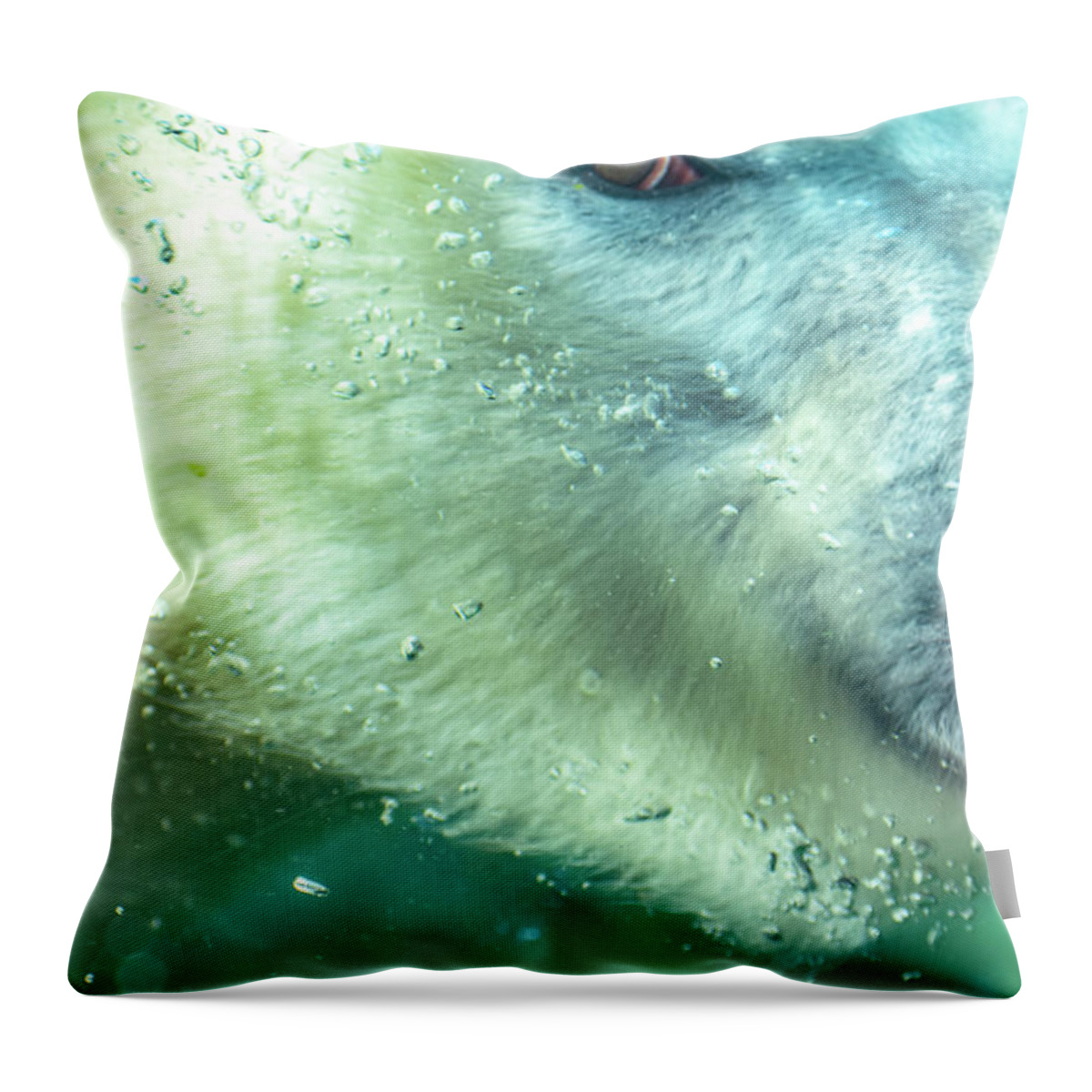 Polar Bear Throw Pillow featuring the photograph Under Water Polar Bear by Michelle Wittensoldner