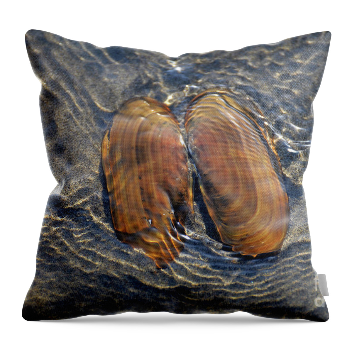 Denise Bruchman Throw Pillow featuring the photograph Underwater Angel Wings by Denise Bruchman