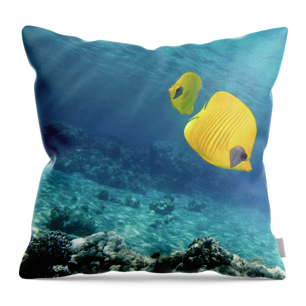 Underwater Throw Pillow featuring the photograph Underwater Picture Of Orangeface by Viridis