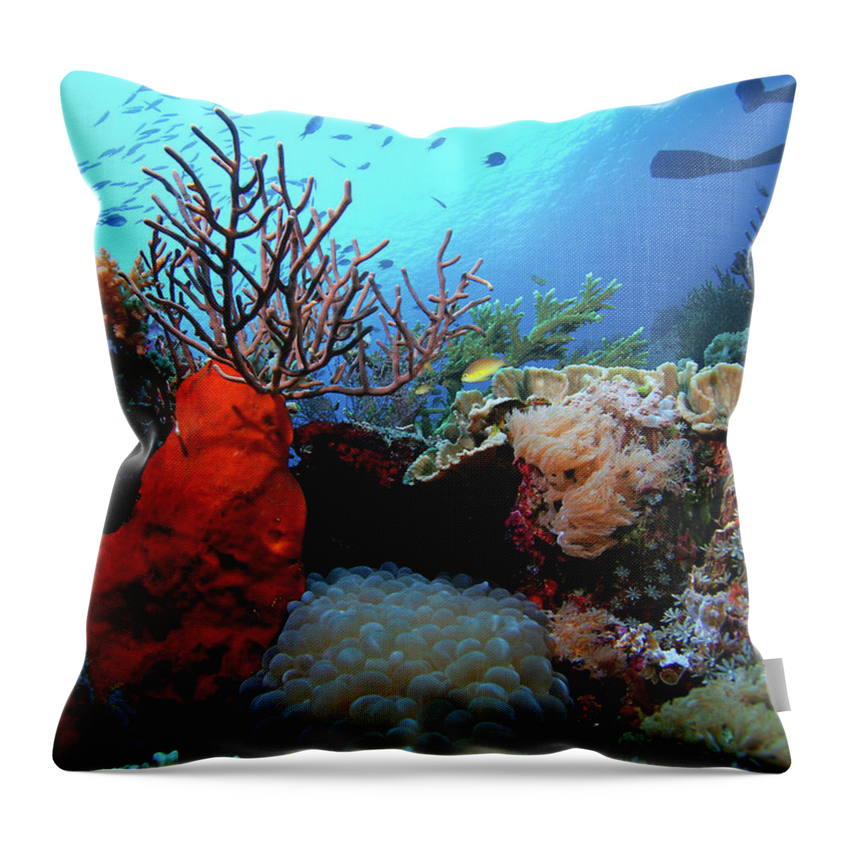 Underwater Throw Pillow featuring the photograph Underwater Reef With Coral And Fish by Cdascher