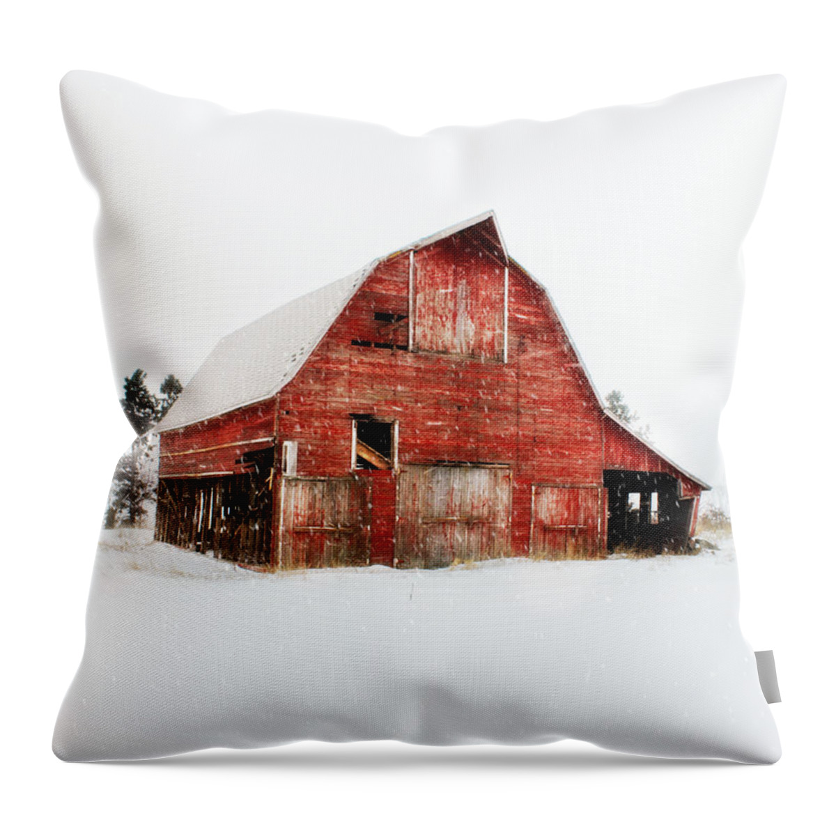 Barn Addict Throw Pillow featuring the photograph Undignified Death by Julie Hamilton