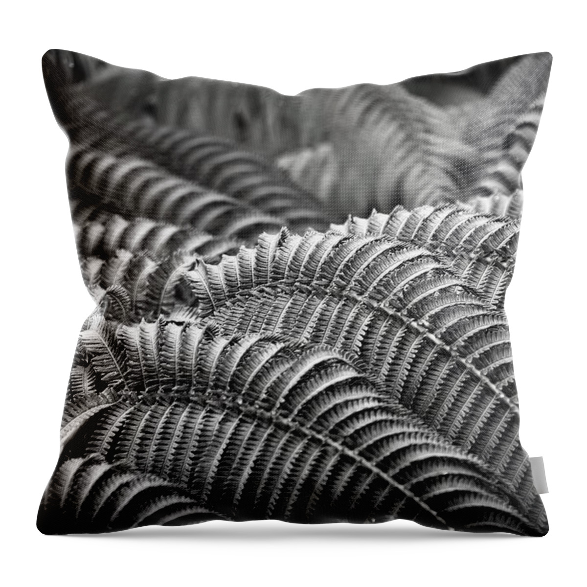 Undulation Throw Pillow featuring the photograph Undulations by Heidi Fickinger