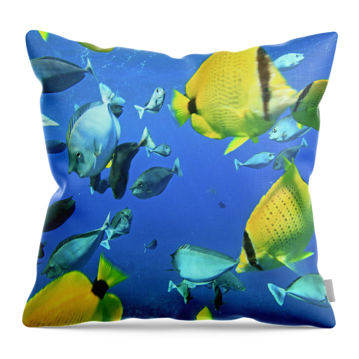 Underwater Throw Pillow featuring the photograph Unicorn Fish by Chris Stankis