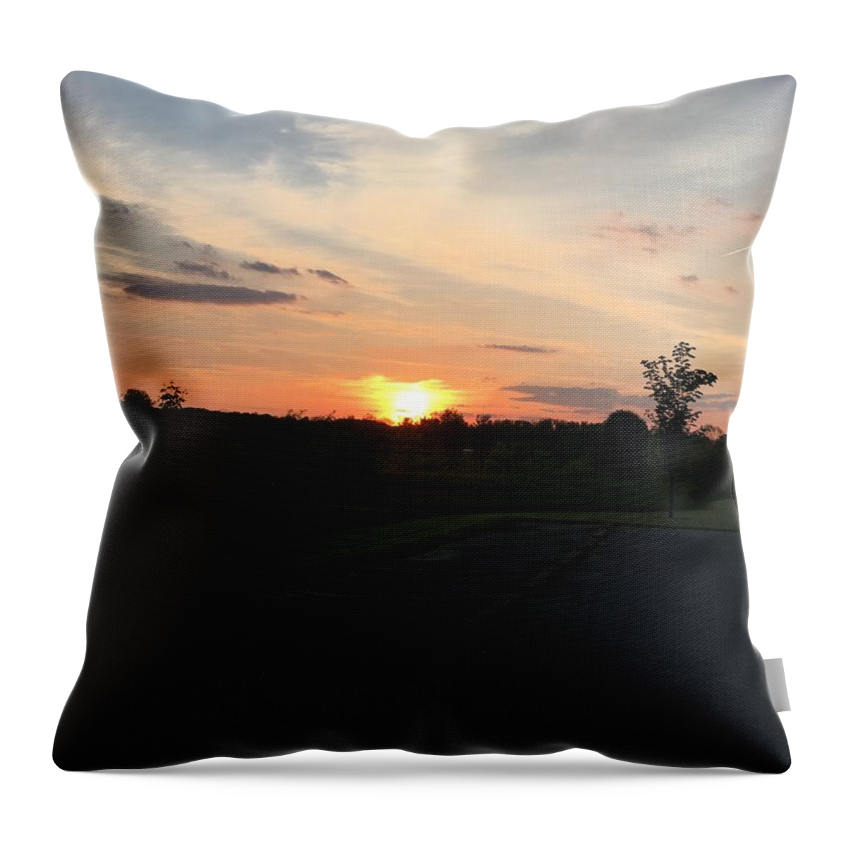 Landscape Throw Pillow featuring the photograph Union Sunset by Eric Switzer