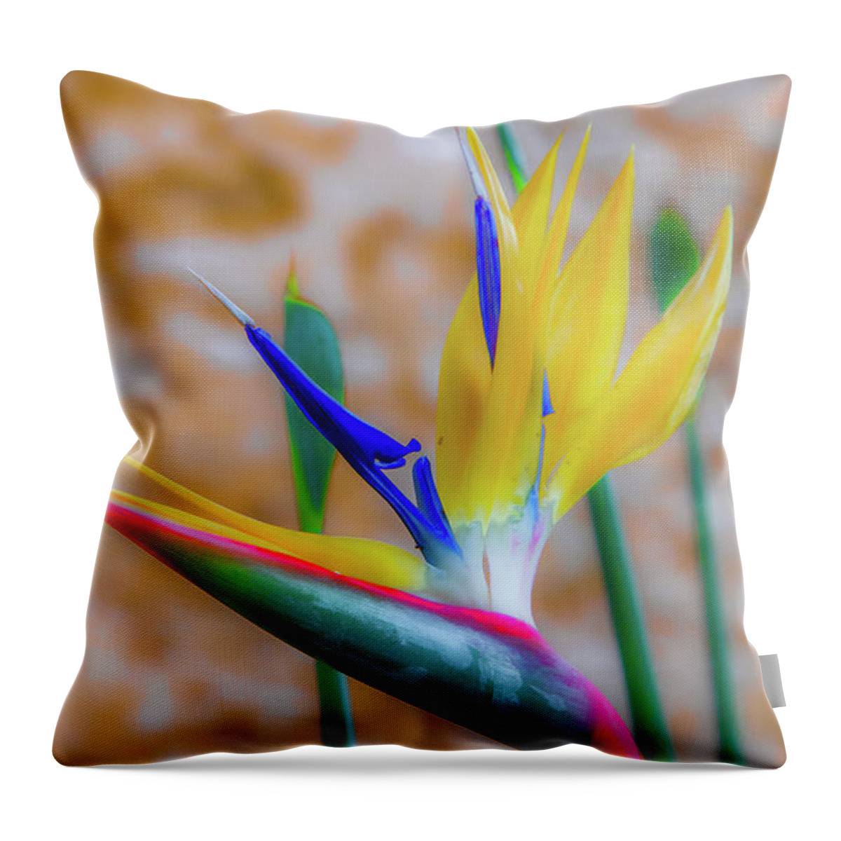 Bird Of Paradise Throw Pillow featuring the photograph Uniquely Floral by Marcy Wielfaert