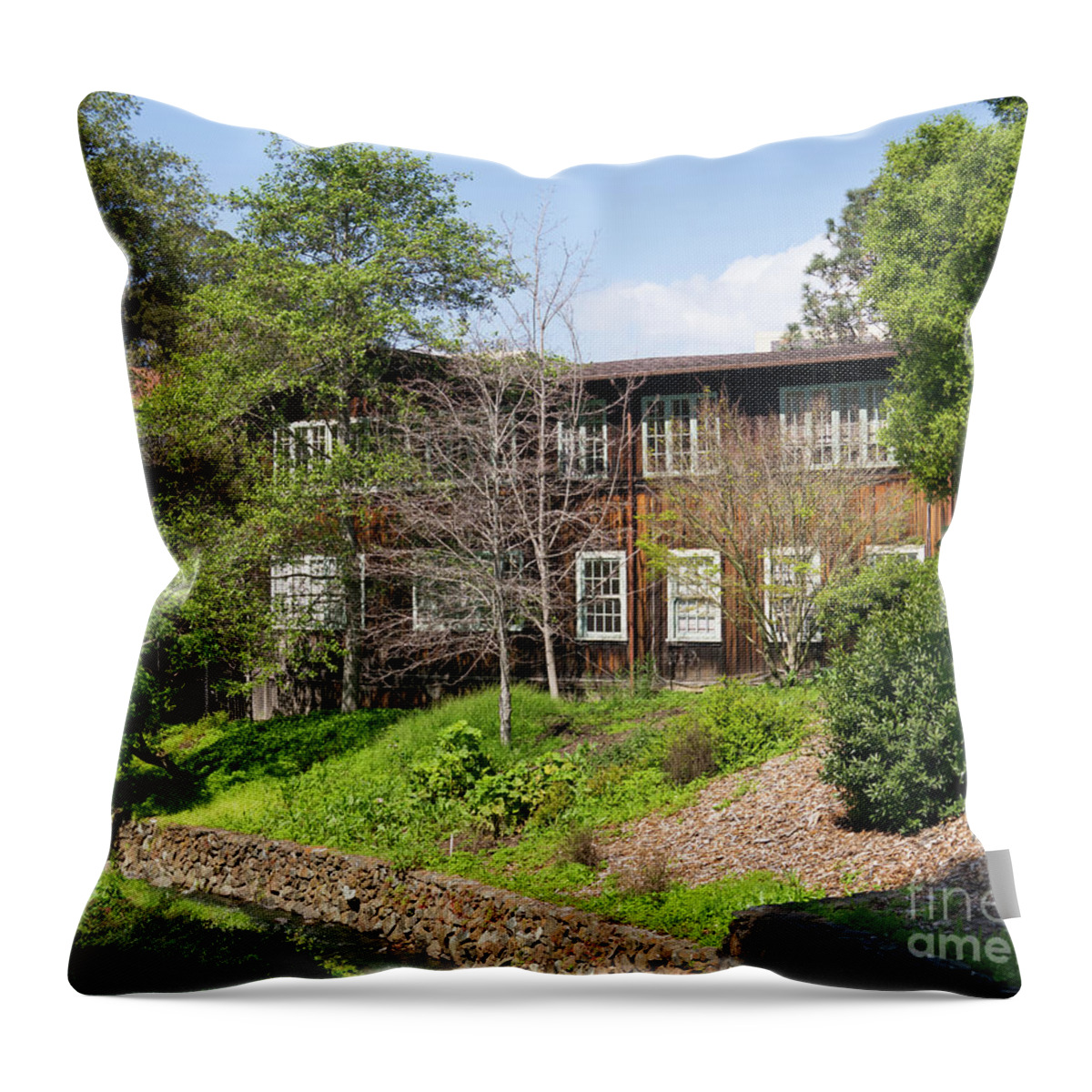 Wingsdomain Throw Pillow featuring the photograph University of California Berkeley Dwinelle Annex DSC6906 by Wingsdomain Art and Photography