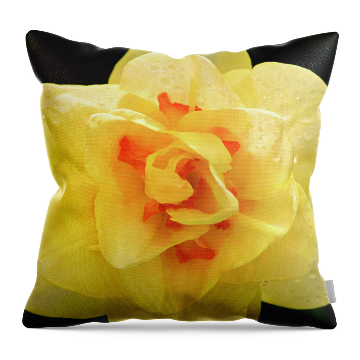 Flower Throw Pillow featuring the photograph Unusual Daffodil by Don Johnson