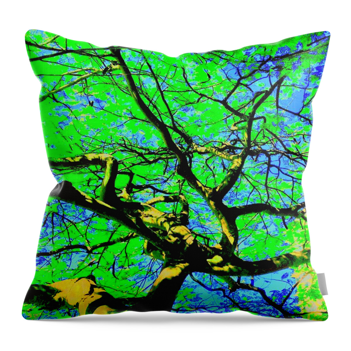 Tree Throw Pillow featuring the photograph Up a Tree Three by Debra Grace Addison