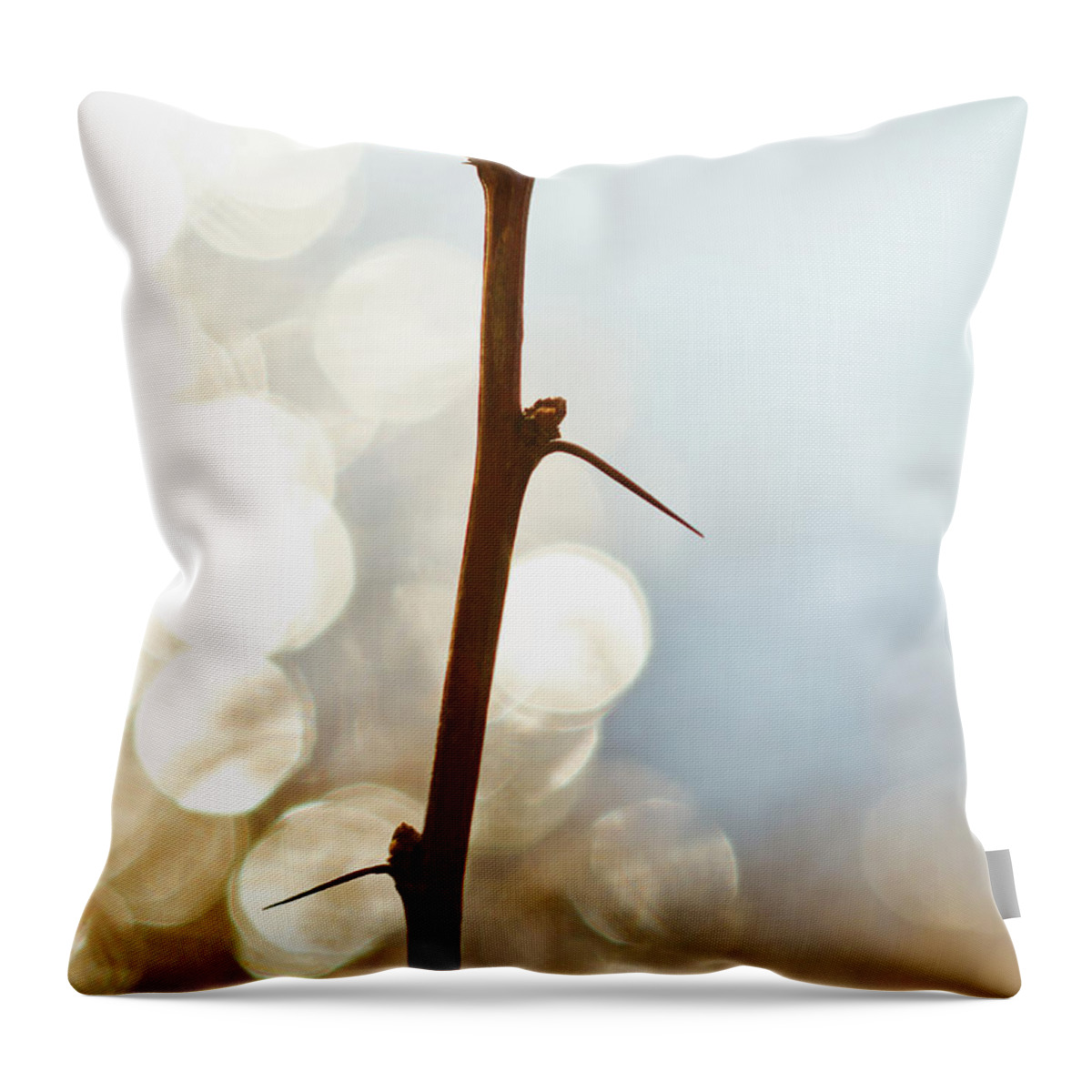 Tranquility Throw Pillow featuring the photograph Usa, Pennsylvania, Poconos, Close-up Of by Tetra Images