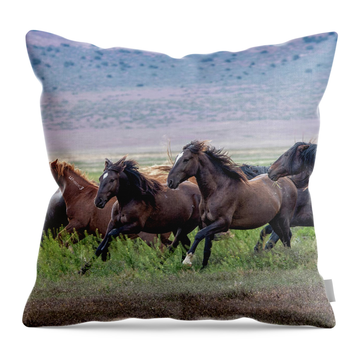 Horse Throw Pillow featuring the photograph Utah's Wild Horses by Jeanette Mahoney