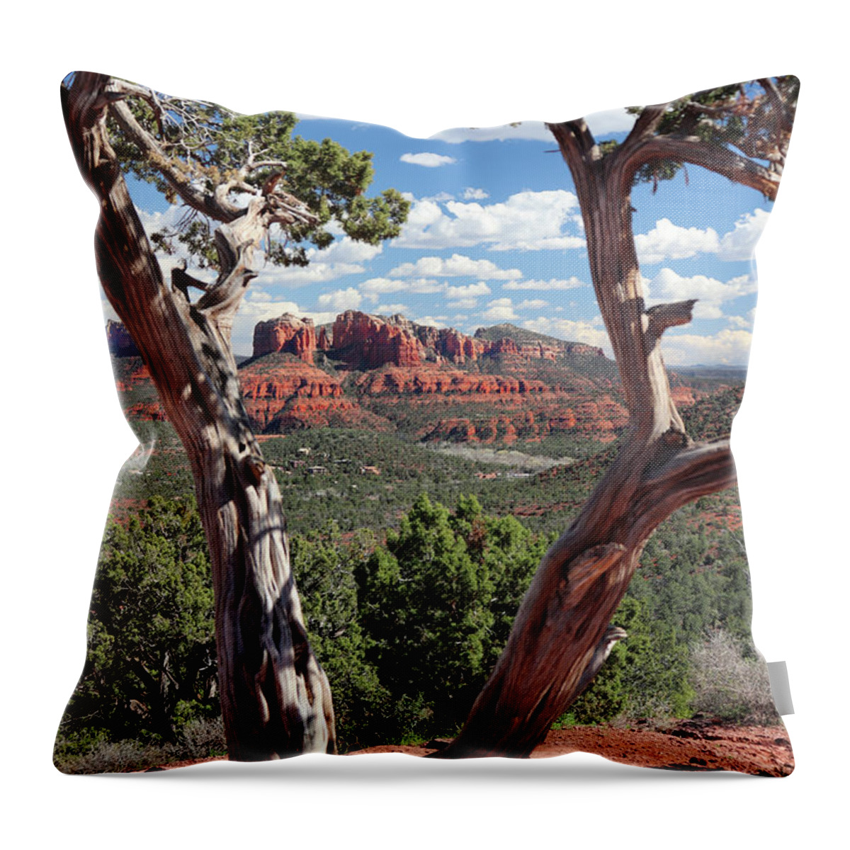 View. Perspective Throw Pillow featuring the photograph V Is for View by David T Wilkinson