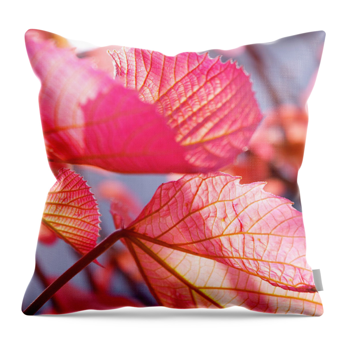 Outdoors Throw Pillow featuring the photograph Vein by Photograph Shino Ono (lechat8)