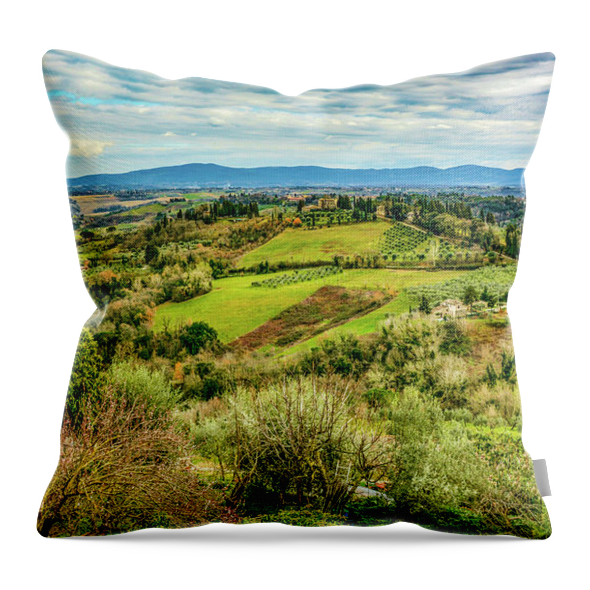 Tuscany Throw Pillow featuring the photograph Verdant Tuscan Springtime by Marcy Wielfaert