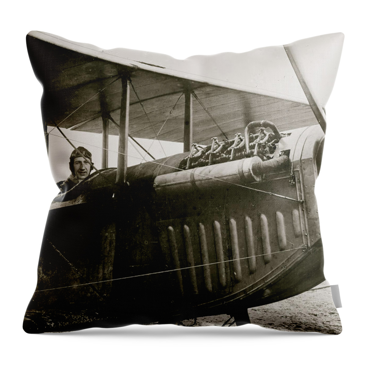 Planes Throw Pillow featuring the painting Vernon Castle [in plane] by 