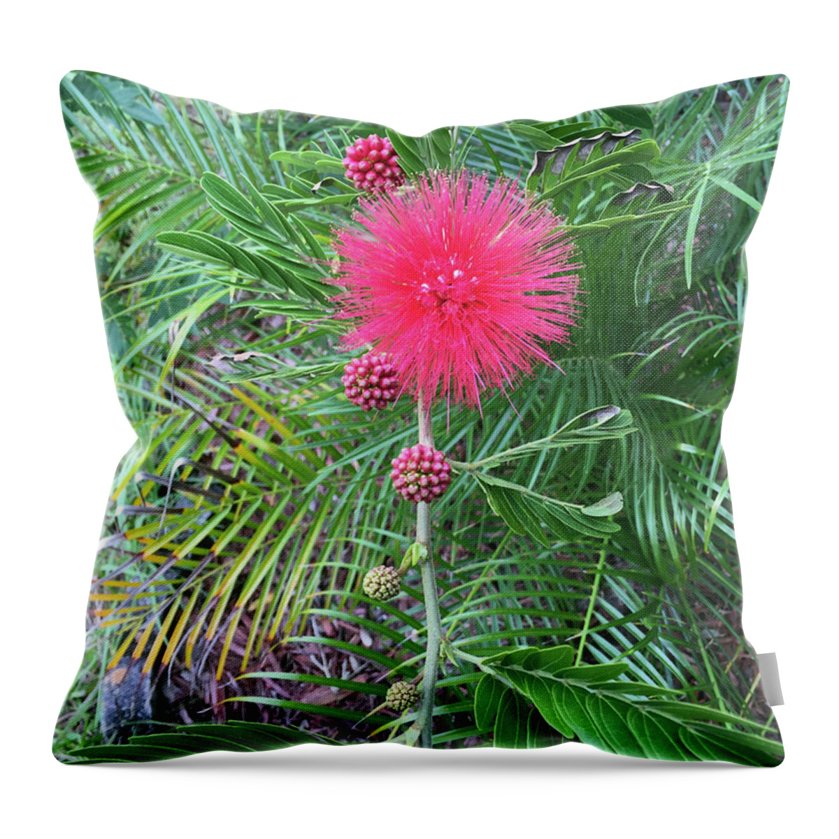 Powderpuff Throw Pillow featuring the photograph Vertical Powderpuff by Aimee L Maher ALM GALLERY