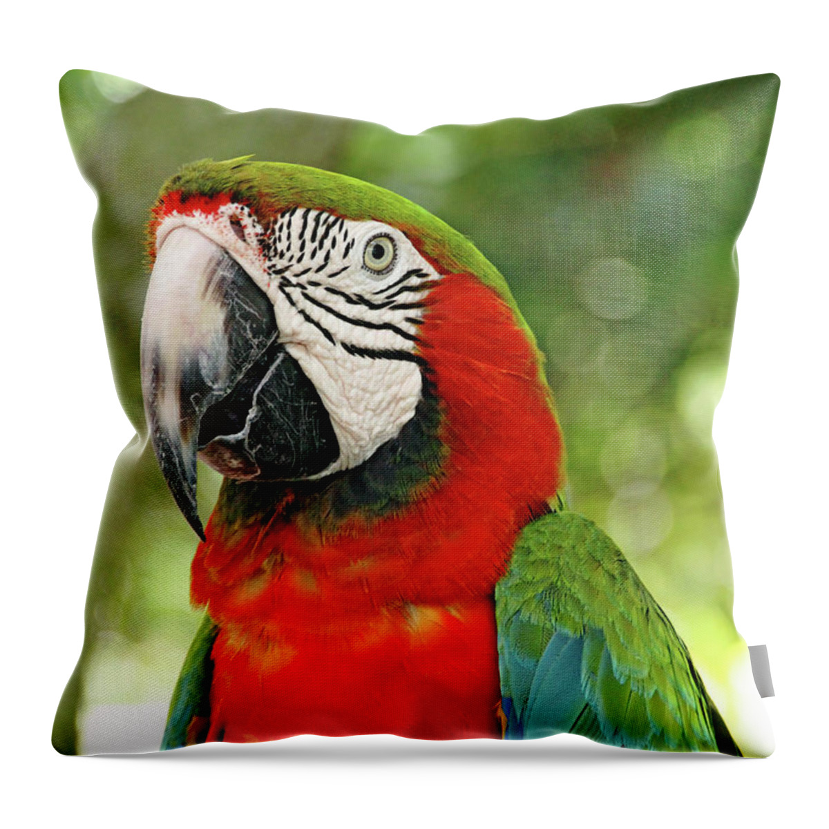 Macaw Throw Pillow featuring the photograph Vibrant Macaw by Debbie Oppermann