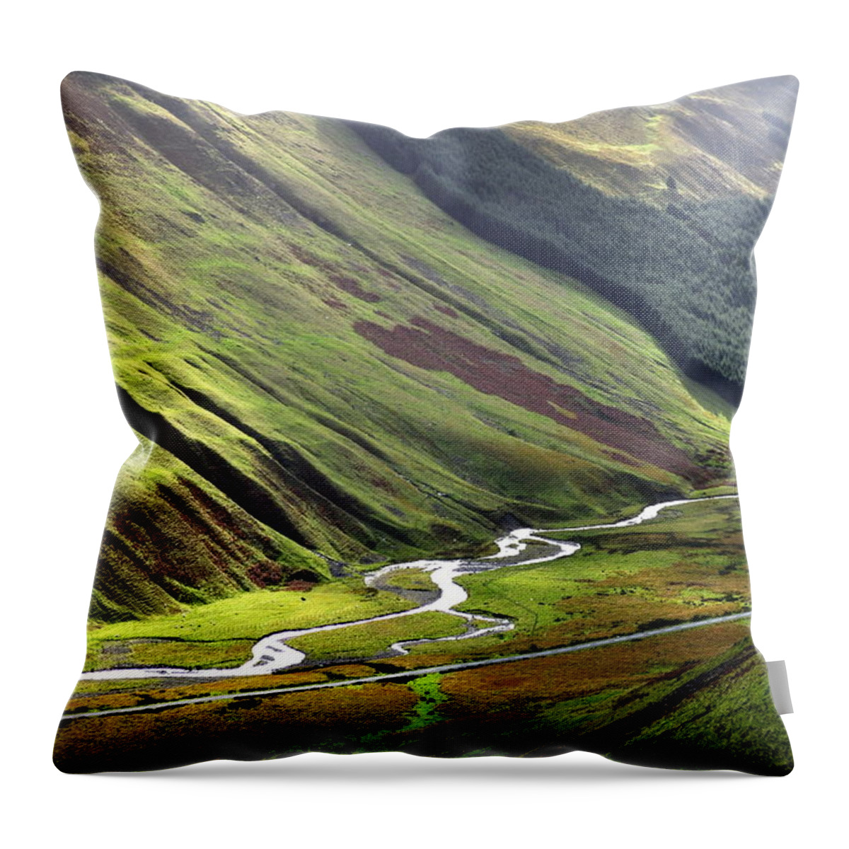 Scenics Throw Pillow featuring the photograph View From Grey Mares Tail by Roland Polyak