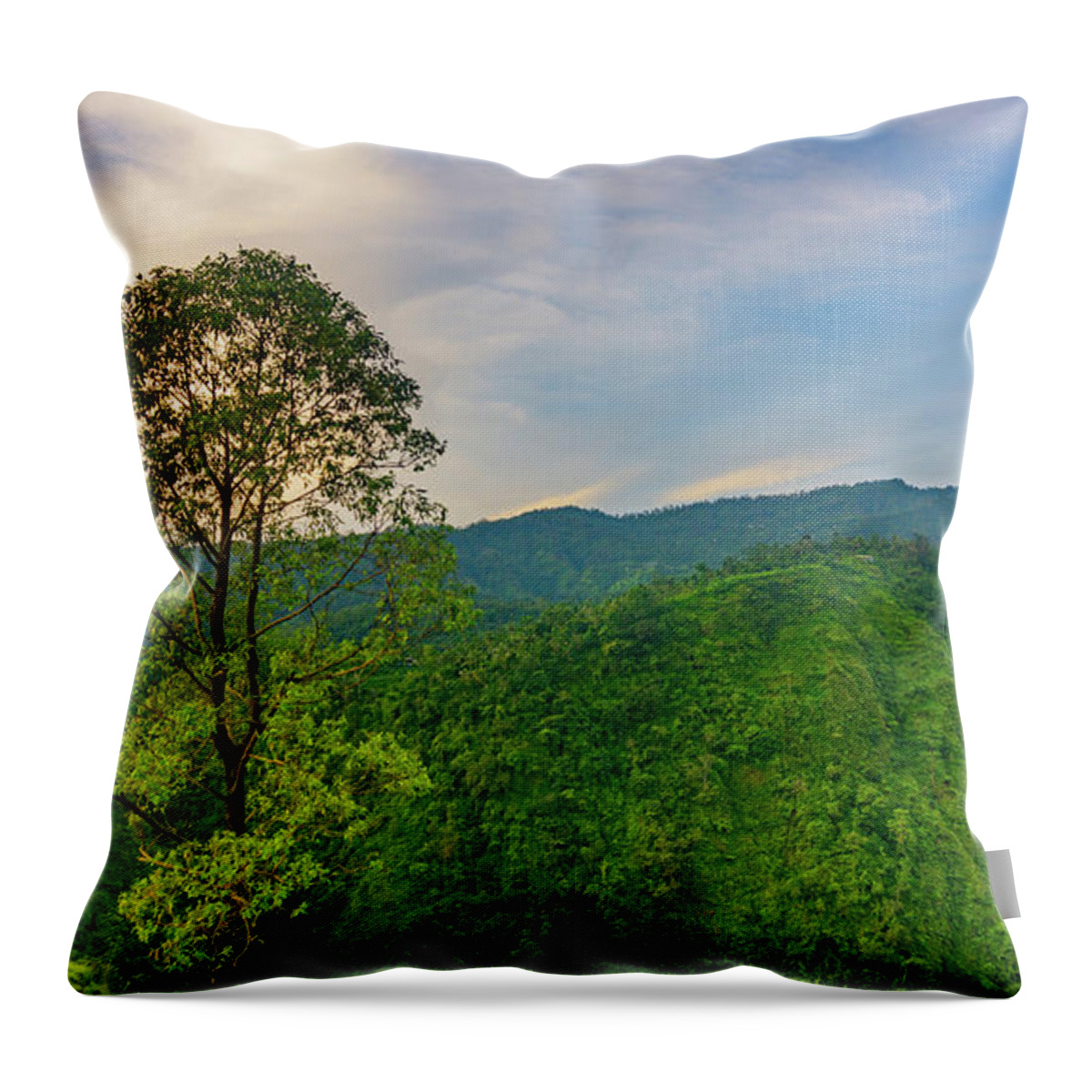 Hill Throw Pillow featuring the photograph View From The Hill by Ngurah Agus