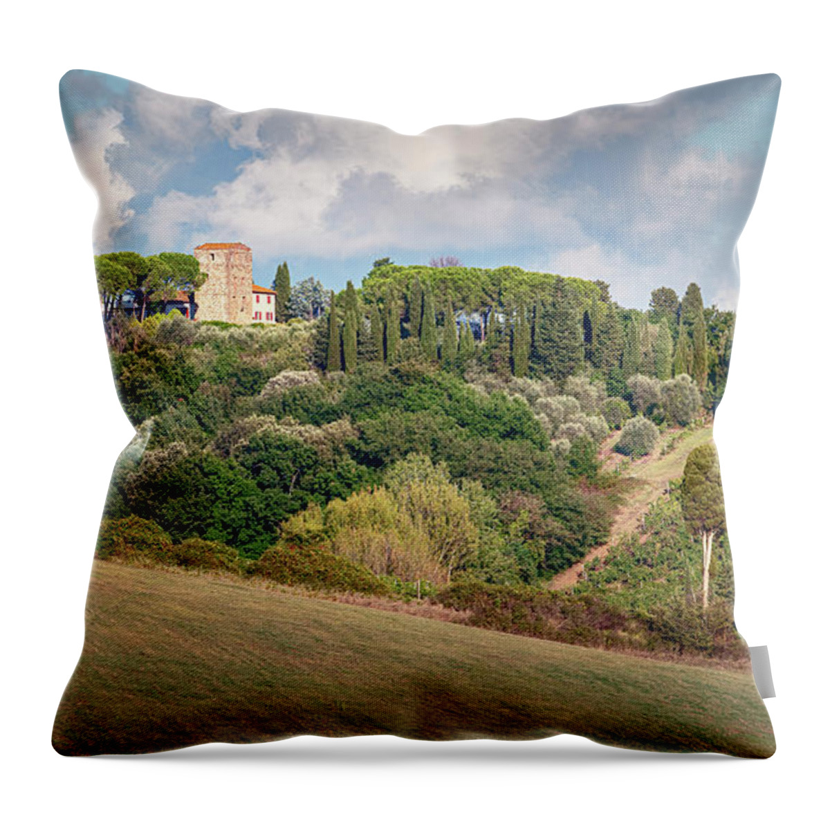 Tuscany Throw Pillow featuring the photograph Vineyard Morning Tuscany Italy by Joan Carroll
