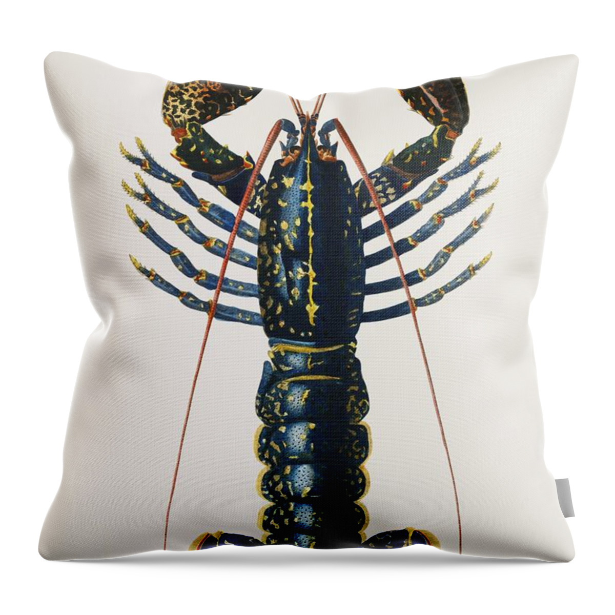 Vector Throw Pillow featuring the painting Vintage Illustration of Crimson Crawfish Palemon Ornatum by Celestial Images