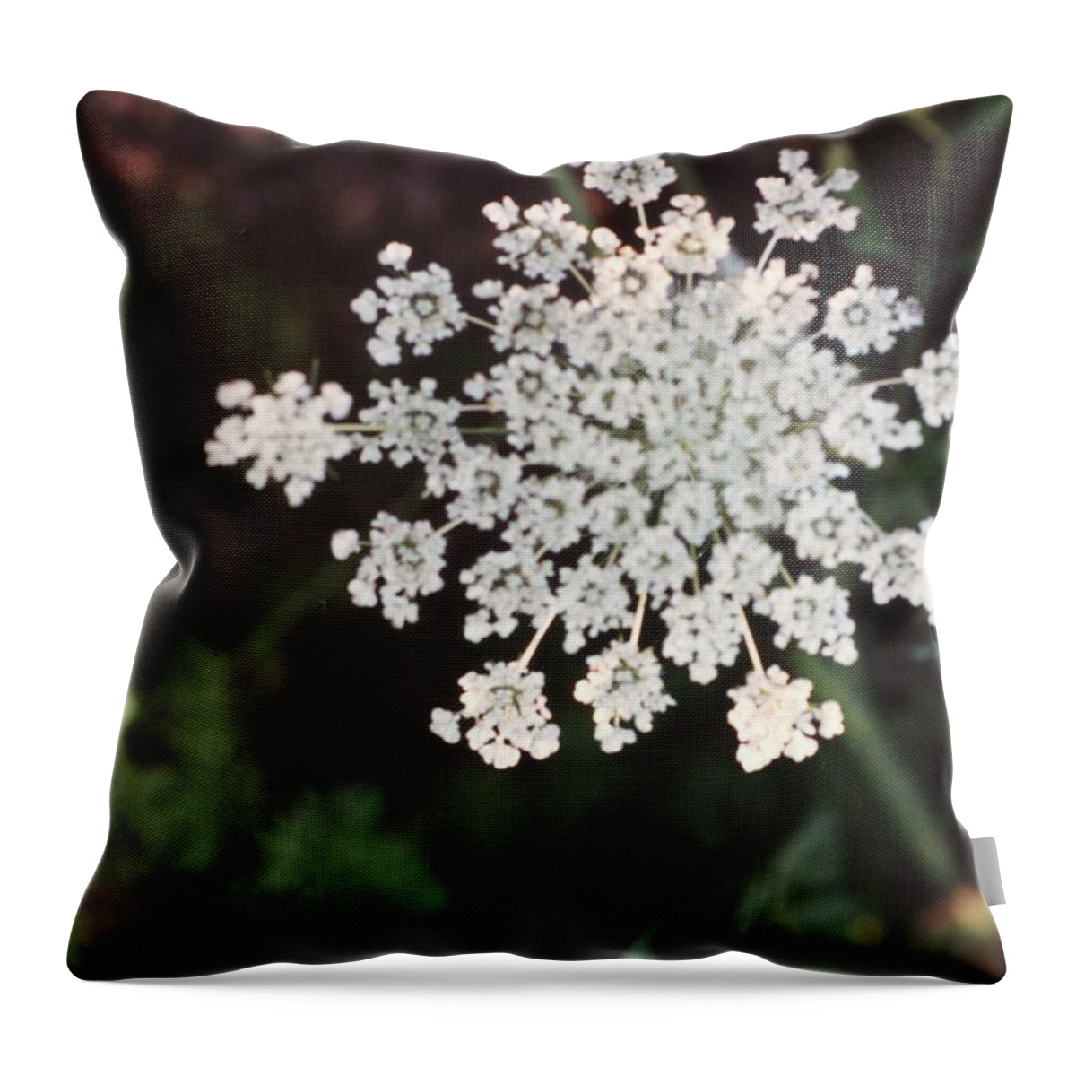 Flower Throw Pillow featuring the painting Vintage Photo of Flowers and Garden 1970s - 1980s - 045 by Celestial Images