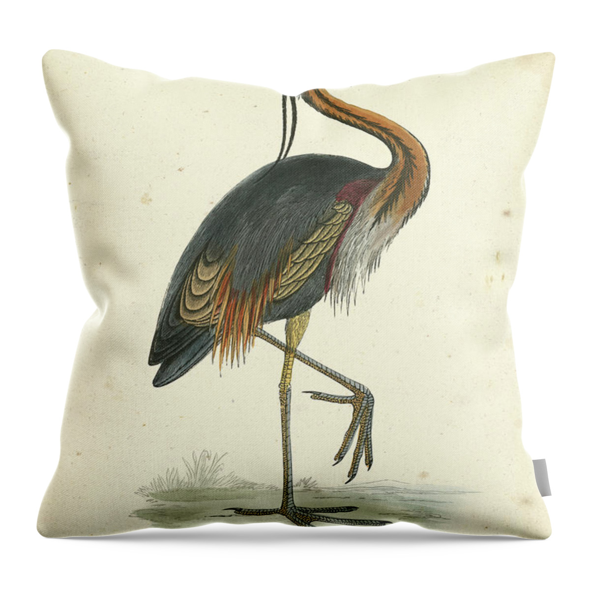 Animals Throw Pillow featuring the painting Vintage Purple Heron by Morris